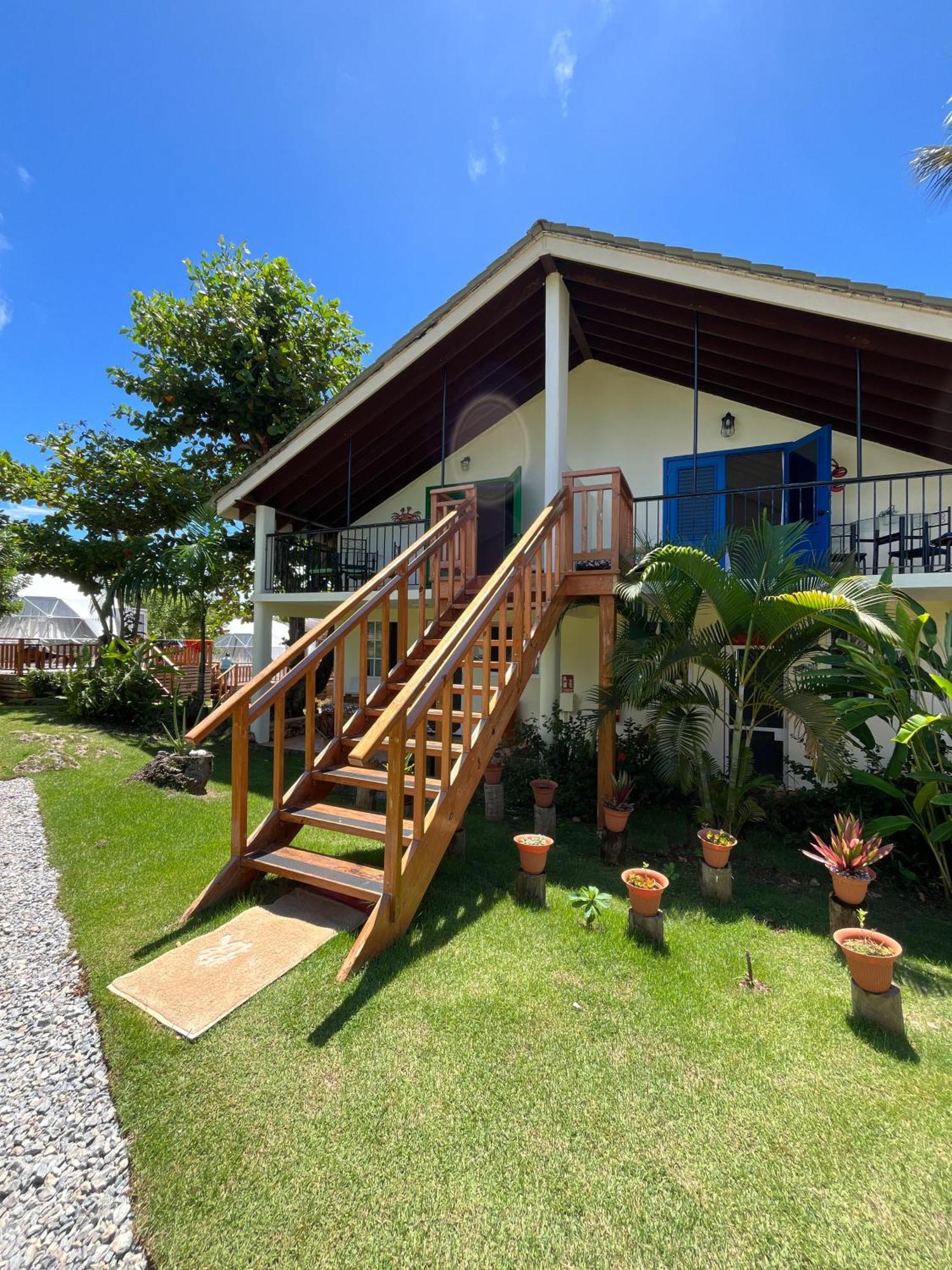 Arena Oceanview Hotel & La Terraza Restaurant Las Galeras Buitenkant foto