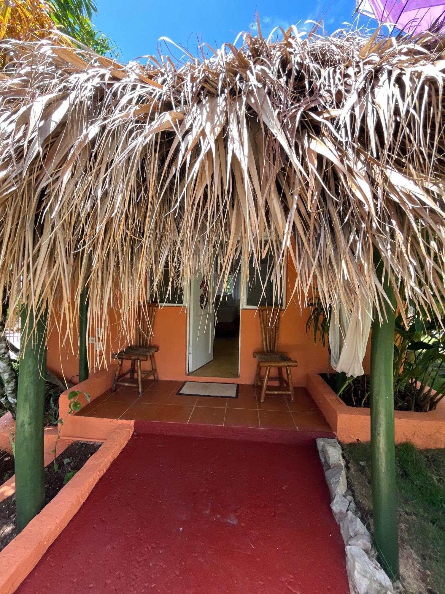 Arena Oceanview Hotel & La Terraza Restaurant Las Galeras Buitenkant foto